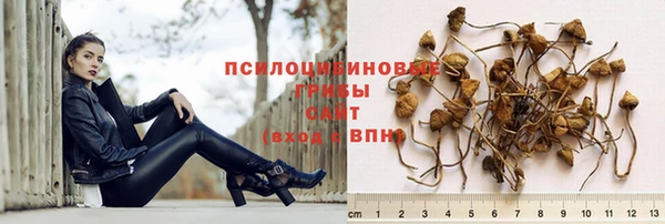 крисы Медвежьегорск