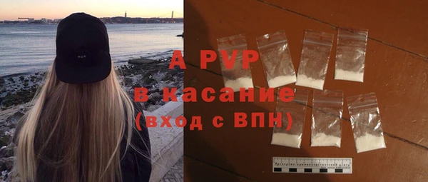 индика Шарыпово
