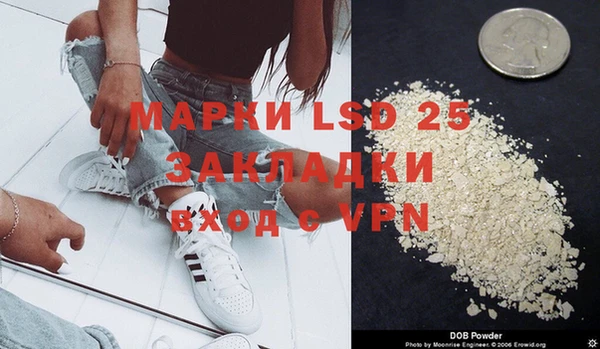крисы Медвежьегорск