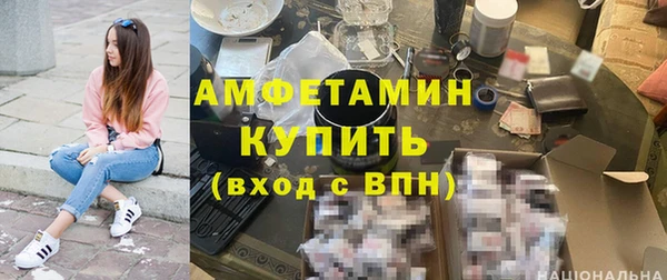 крисы Медвежьегорск