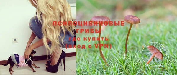 крисы Медвежьегорск