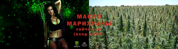 твердый Шадринск