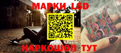 гидропоника Будённовск