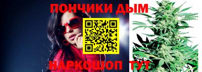 гидропоника Будённовск