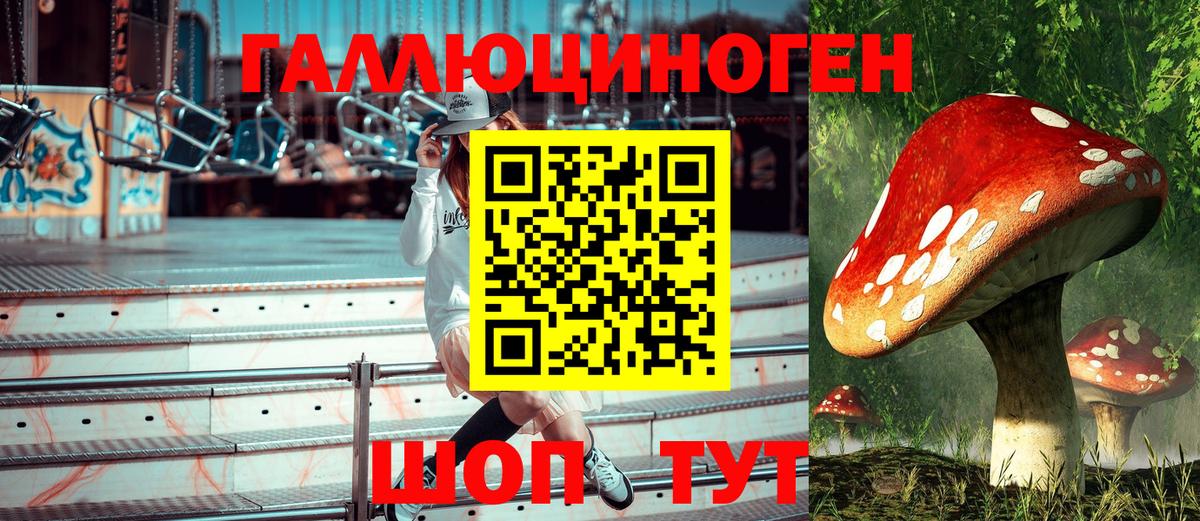 Псилоцибиновые грибы Psilocybe  Вход с VPN  дарнет шоп  Фрязино 