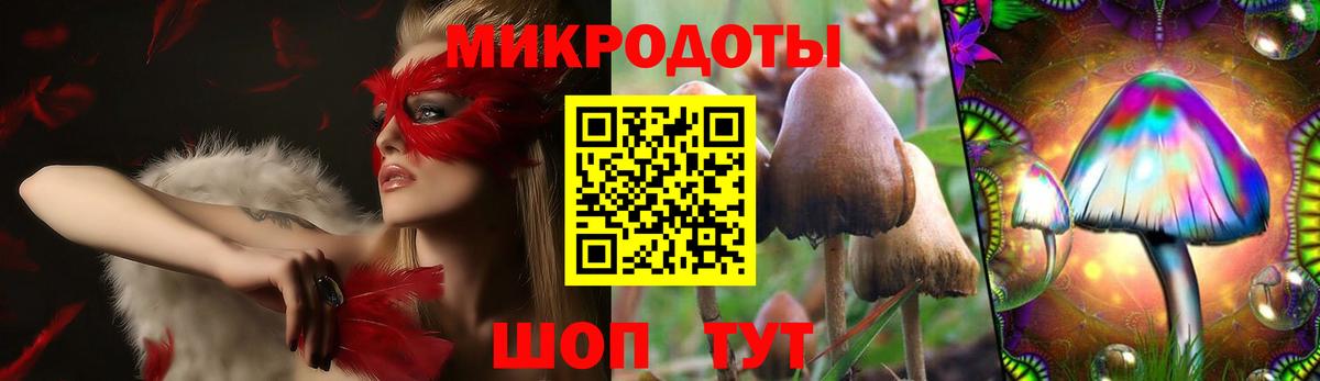 Псилоцибиновые грибы GOLDEN TEACHER Фрязино